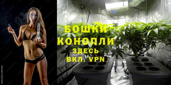 ALPHA PVP Краснослободск